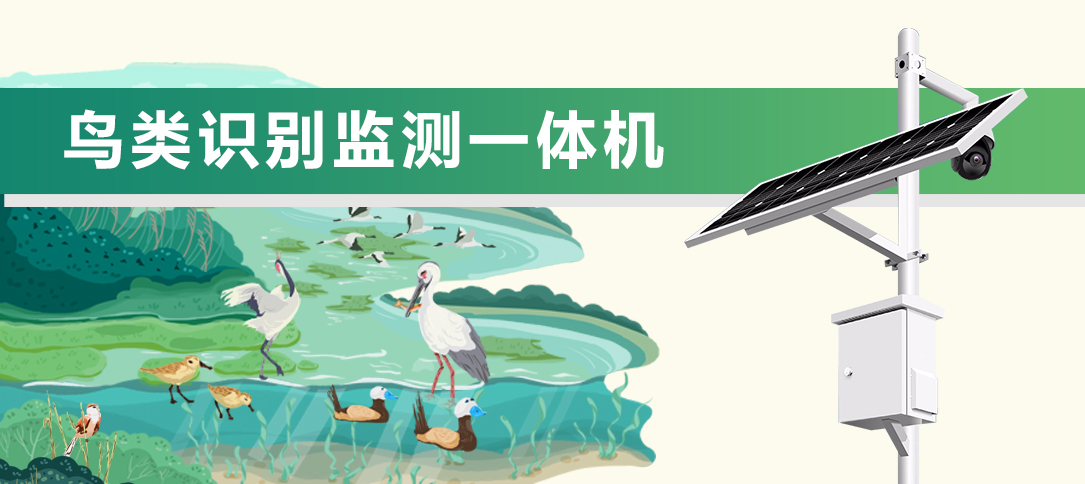 鳥類監(jiān)測一體機(圖1)